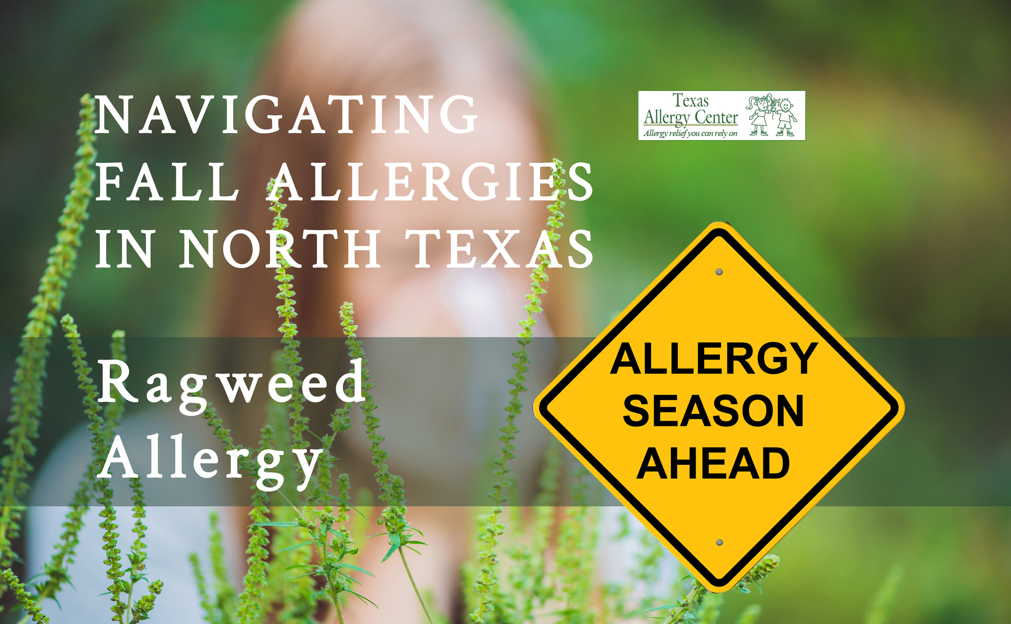 north texas dallas dr jane lee ragweed pollen allergy